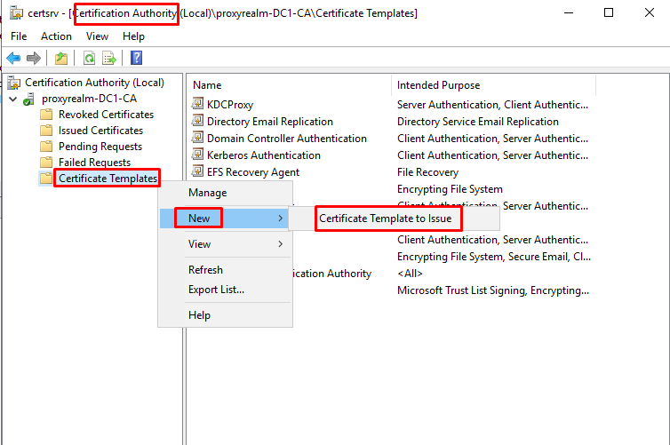 issue certificate template
